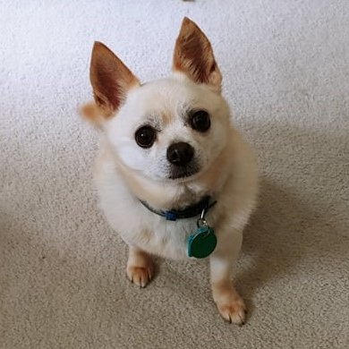 MarkHac22702513's profile picture. Inventor