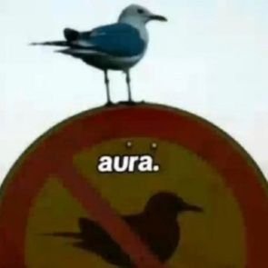 tec_onion_'s profile picture. 