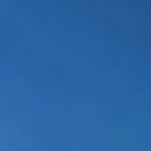 priv_incog's profile picture. 