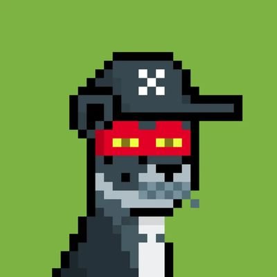 CodedJimy's profile picture. Friendly