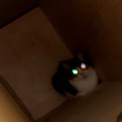 no_649's profile picture. ボーカル、声優、歌手、アーティスト、作曲家、YouTuber、小説家、マクド、メンタリスト、占い師、ラッパー、関西人、呪術師、俳優、ENFP、デビルハンター、親日、マジシャン、ピアニスト、弁護士、映画監督、キャビンアテンダント、作家、