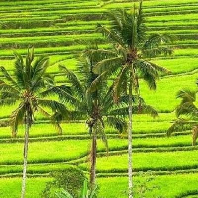 MTK91091059's profile picture. God bless All of you
(No pron videos and photos) Thank you