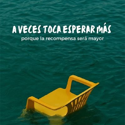 mauriciomicolt4's profile picture. 