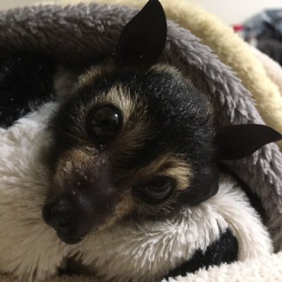 raysthreadz's profile picture. bat obsessed freak & ice cream fiend | i try to be recovtwt safe !
main(edtwt): @rayruined