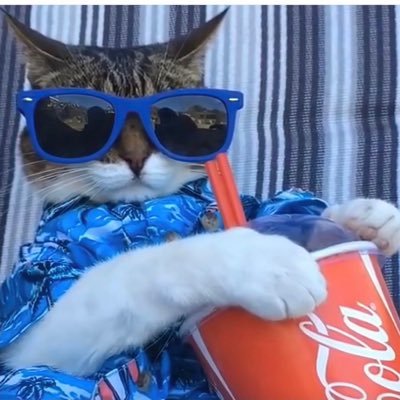 dcsx460579's profile picture. 