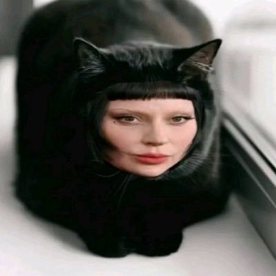 vvctrix's profile picture. .