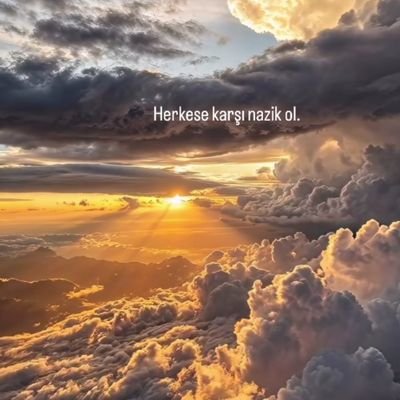 Halil65747's profile picture. 