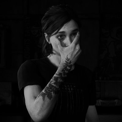 matheuseler__'s profile picture. bio?