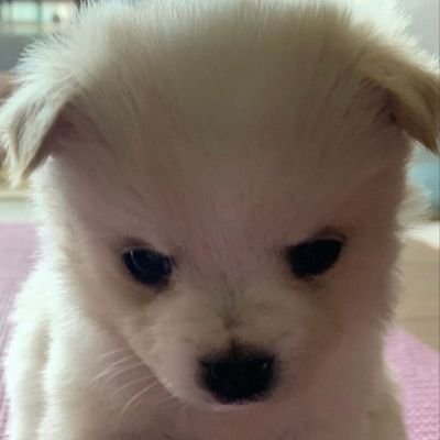 marchmallo0w's profile picture. *ﾟ+.｡:;+.:;｡+ﾟ* ♡ *ﾟ+.｡:;+.:;｡+ﾟ*