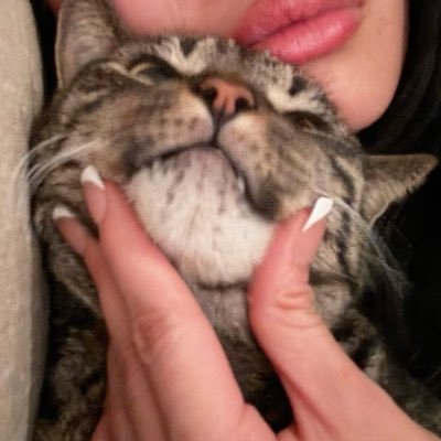 s566d's profile picture. 