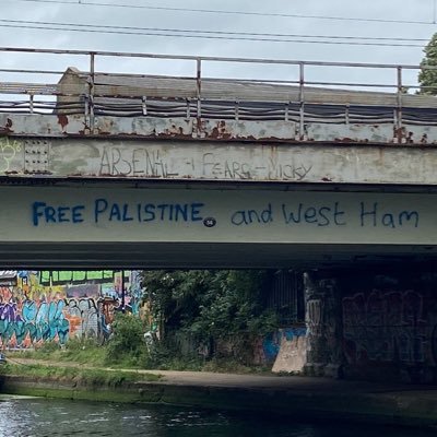 Theo6538071468's profile picture. 