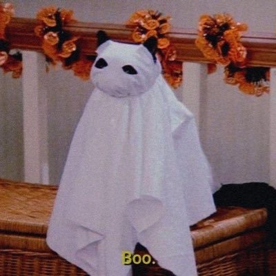 nadiayaam's profile picture. Hola cara de bola:))