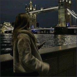 ferrantino49814's profile picture. 