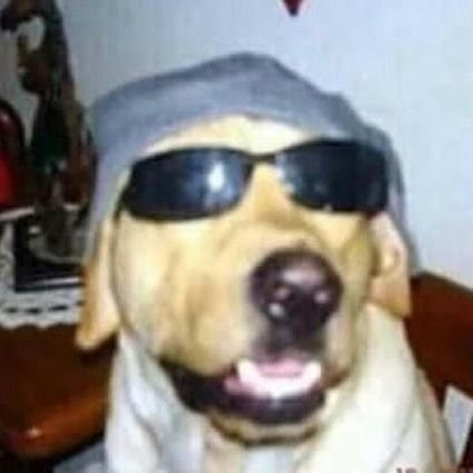 srhgio's profile picture. 