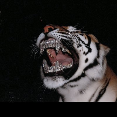 NftWillie's profile picture. NFTs, CryptoVerse, Web3