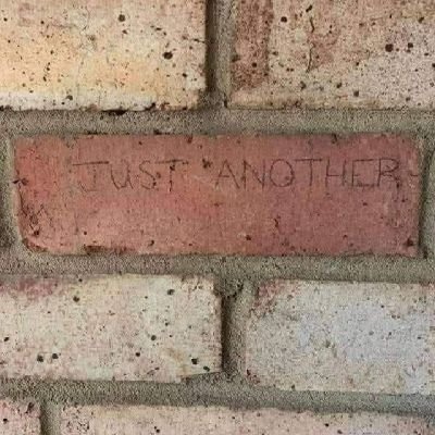 Selenanteus's profile picture. ROBOT PUNK RUDITO | INSIDE NERDCORE