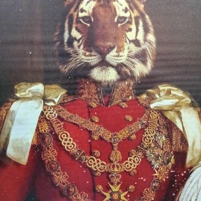 Francis41430355's profile picture. 