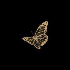 shinewrld933003's profile picture.