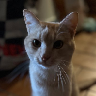 Jrkidk's profile picture. 