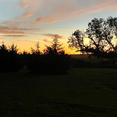 southgal11's profile picture. 