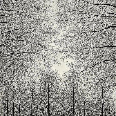 eoinkinahan's profile picture. Twitter Voyeur