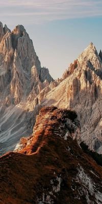 FureddoK2835's profile picture. 