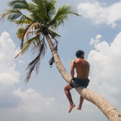 ale_zamoranin's profile picture. My biggest critic lives in my head rent-free.
