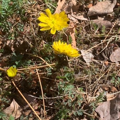 midori_3829's profile picture. 