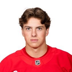 liberalpistons's profile picture. SD4L - Detroit - 5x Gameday USA MVP