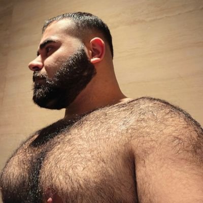 kurdishteddy's profile picture. kahpelik sendeyse yanaşma