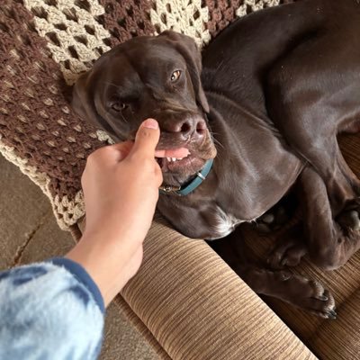 rrrrroongfah's profile picture. 