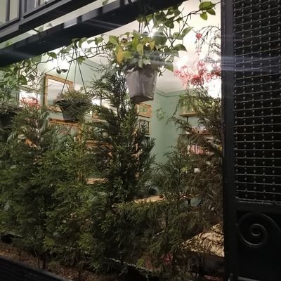 karimiphdr's profile picture. توییت میزنم