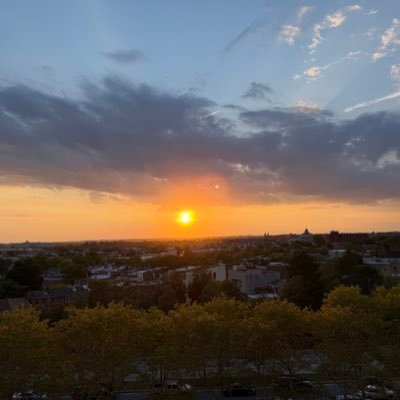 anikaperkins_'s profile picture. 