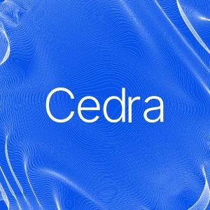 cedra_africa's profile picture. 
