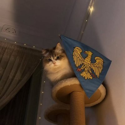 paristropische's profile picture. O vinho na vitória é merecido, mas na derrota é imprescindível. - Napoleão Bonaparte