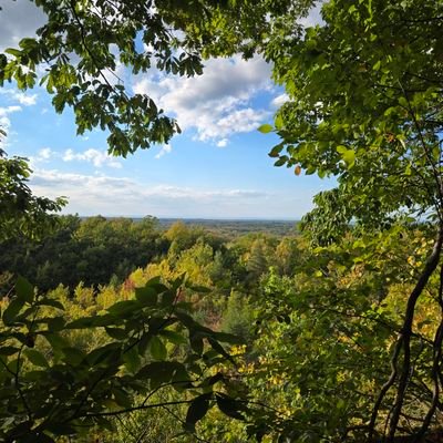 ShaferMark39646's profile picture. 