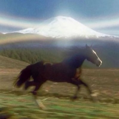 MoneybaggMeow's profile picture. RIP Shay🙏❤️ RIP Amar‘i🙏❤️ RIP Hakan🙏❤️ RIP Quaylon🙏❤️ RIP Fatih🙏❤️ *Türkei Türken hate acc*