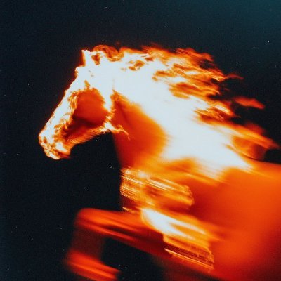 wintrxyz's profile picture. speculator