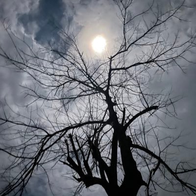 Naturethugnft's profile picture. Creating NFTs inspired by the beauty of nature
🃏
🚀Web3 Experimentor💺