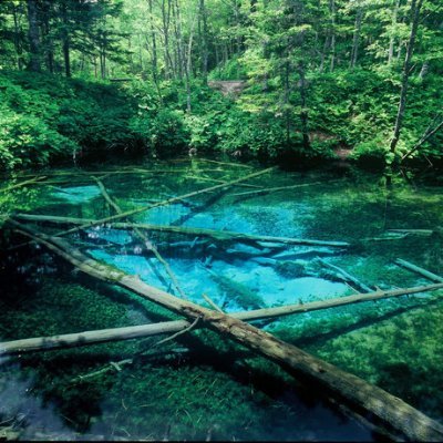 yuino000's profile picture. 伯虎座/ユニバ/リアル脱出ゲーム/ディズニーがすきです!
夫との共同アカウントです!基本自分妻ゆいが上げます!
今自分は名古屋に里帰り中!
そのため同じ日でも色んな所の情報など発信してます!
2025年10月13日に入籍、結婚式します！
双子を妊娠中で2026年1月出産予定です!