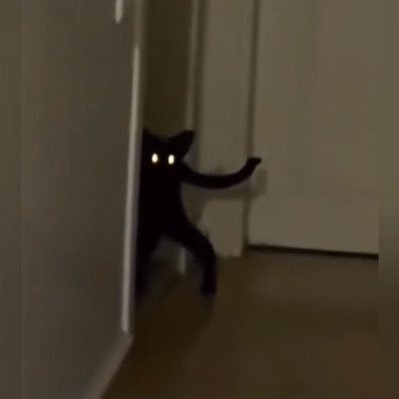 0xSilmo's profile picture. play stupid games, win stupid prizes