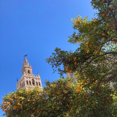 benrowd1's profile picture. 