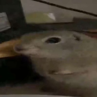 Sillllypixel's profile picture. !! Minor !! | Posts every blue moon | Any prns | Basic dni | !! Give credit when using my art !! ( pretty please )