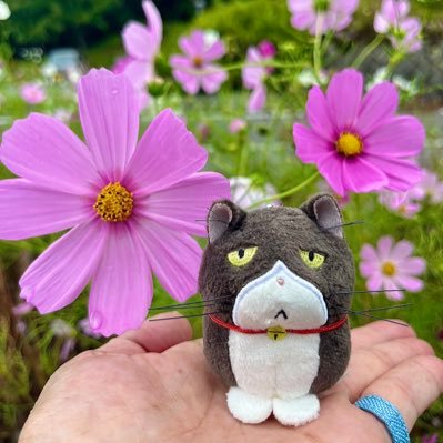 Suezo2000's profile picture. 趣味はサバゲー 、カメラ、スキー、キャンプ等、色々なにかを広く浅くゆる〜くやっています！RADWIMPSが好き、新海誠監督作品、天気の子の沼、そしてバイクも乗り始めました。相棒のバイクは、ヤマハ：YZF-R25→SR400