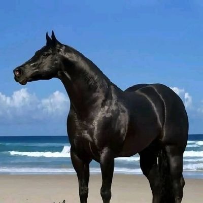 BdMtlq80279's profile picture. 