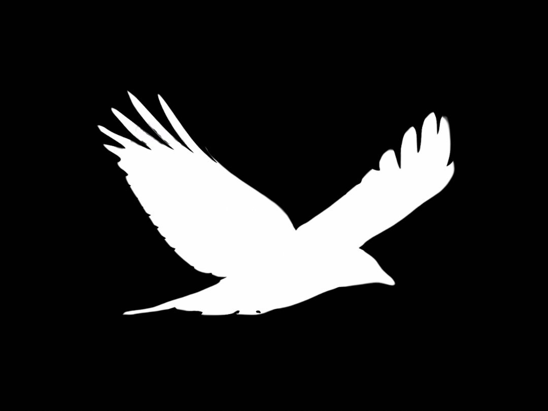 12_24threads's profile picture. Christian, former nurse, formerly known as Felipe Sharks and Mister Leavell on Twitter. Soli Deo Gloria. Luke 12:24.