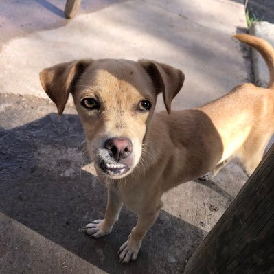 GalavizLui36873's profile picture. 