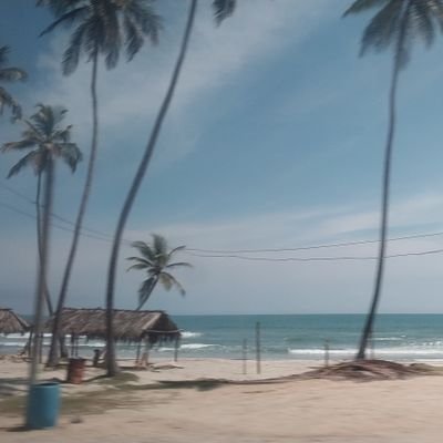 primera_delvall's profile picture. 