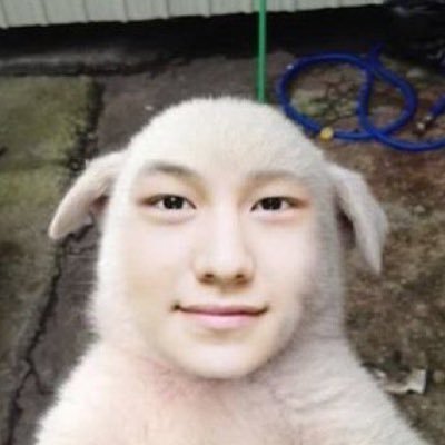 ColourfulLifeHo's profile picture. 주인공왼 키작공 중이짖이