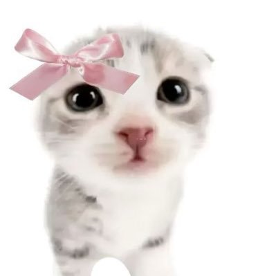 sillyfabs's profile picture. you you are my universe 💘